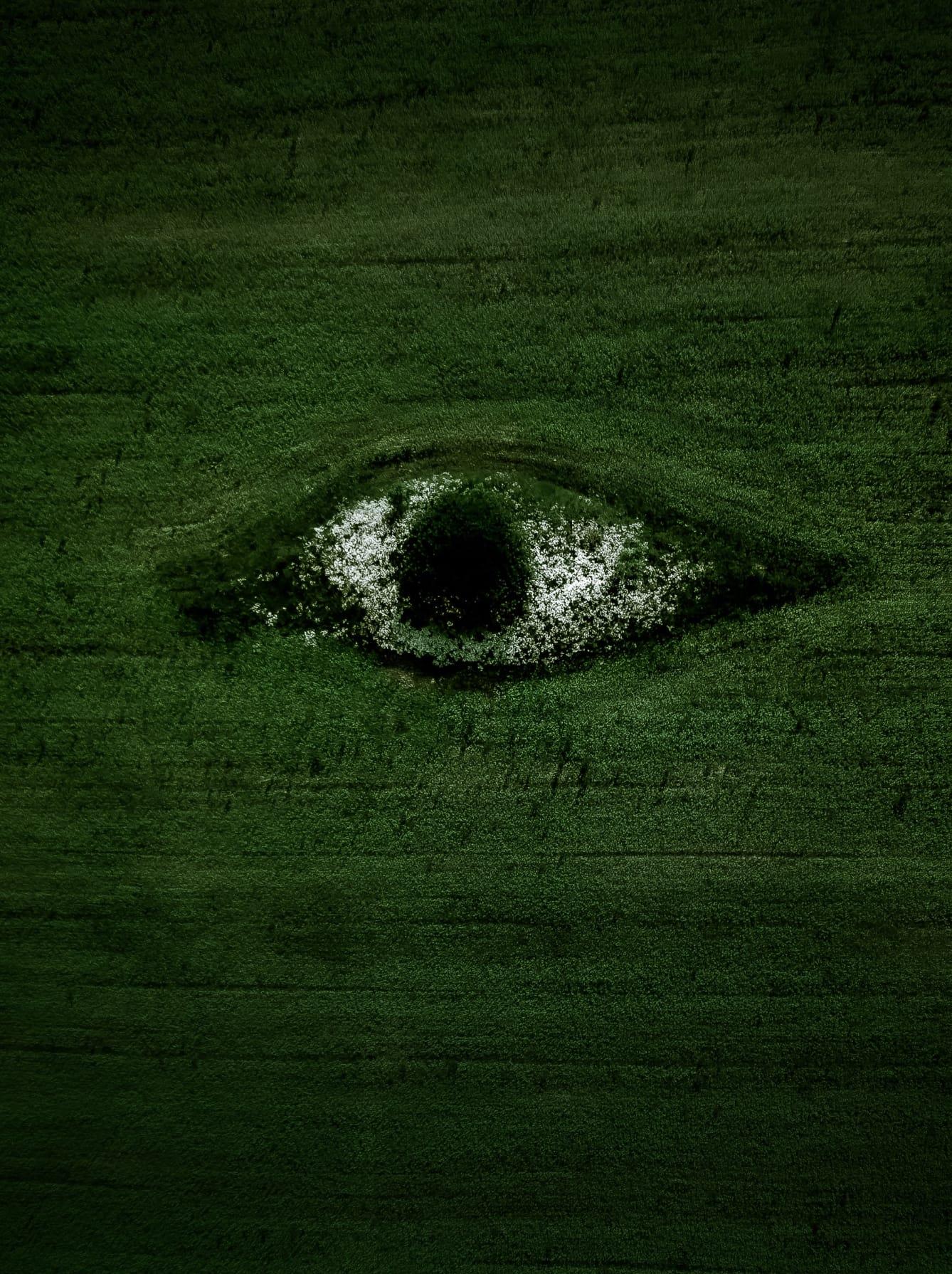 An aerial view of a green field, with an eye drawn in white flowers